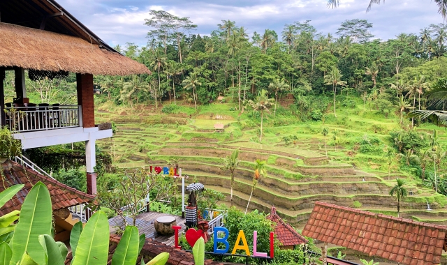 발리 우붓 체크아웃 투어 (라이스 테라스, 스윙해븐, 띠르다 엠뿔, 꾸따 선셋)