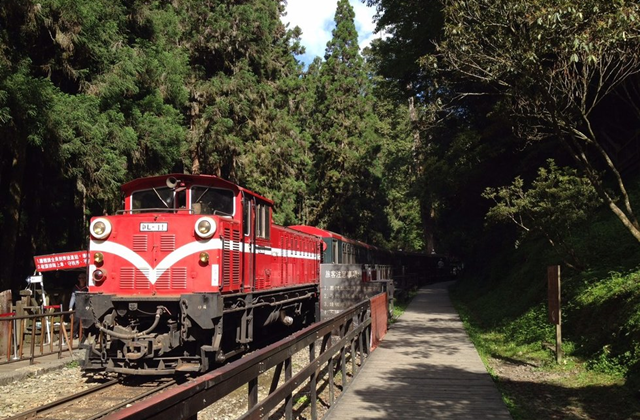 阿里山国家風景区 日帰りツアー (台中発)