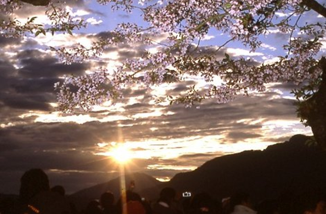阿里山国家風景区 日帰りツアー (台中発)