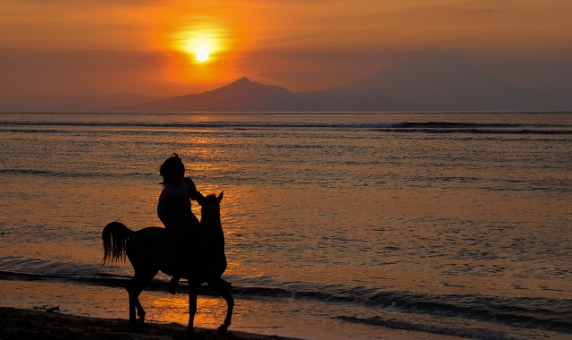 발리 길리섬 올인원 패키지 (발리 공항 픽업 + 숙박 + 고속 페리 티켓)