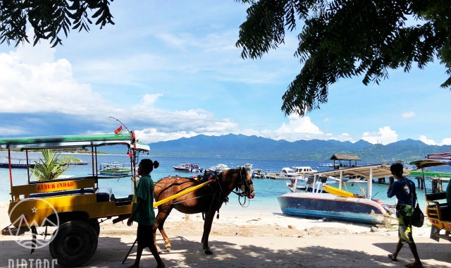 Yoon's Kitchen Gili Islands Snorkeling Tour