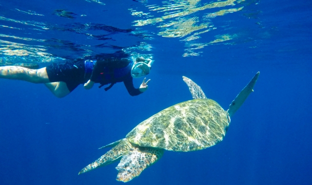 Yoon's Kitchen Gili Islands Snorkeling Tour