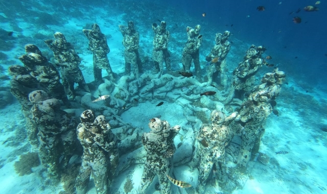 Yoon's Kitchen Gili Islands Snorkeling Tour