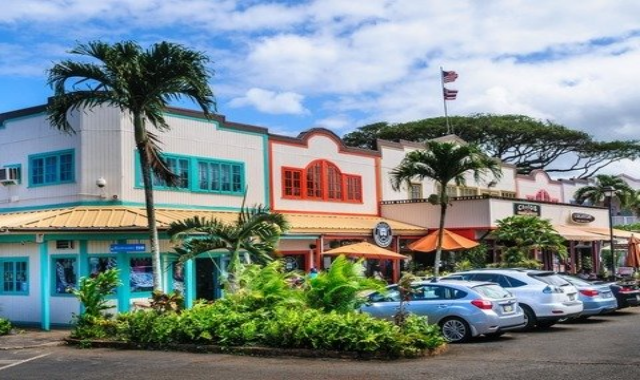 Hawaii Oahu Private Car Rental Tour with Driver