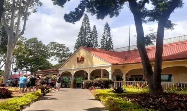 Hawaii Oahu Private Car Rental Tour with Driver