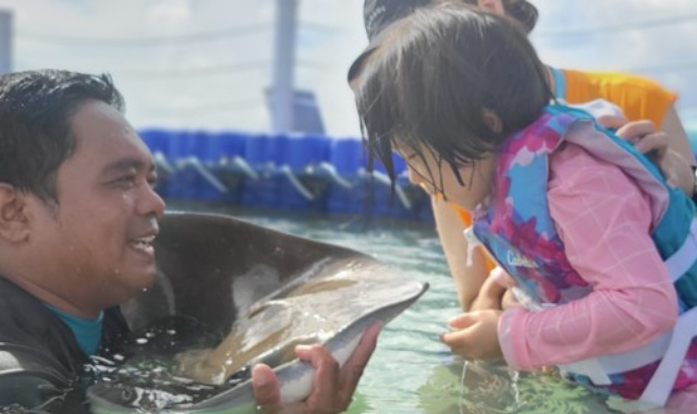 사이판 크라운 프라자 호텔 씨터치 가오리 체험