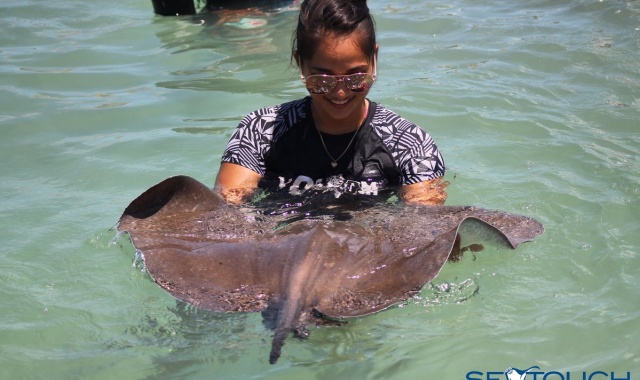 사이판 크라운 프라자 호텔 씨터치 가오리 체험