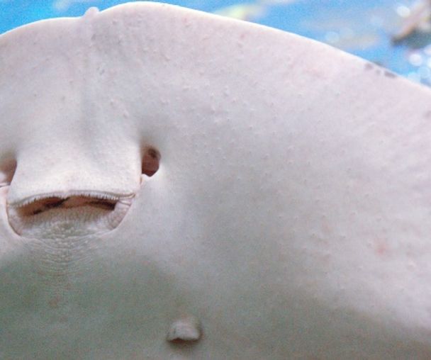 activity_detail_image