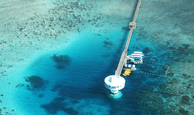 괌 피쉬아이 마린파크 스노클링 & 돌핀크루즈 투어 (런치 뷔페 포함)