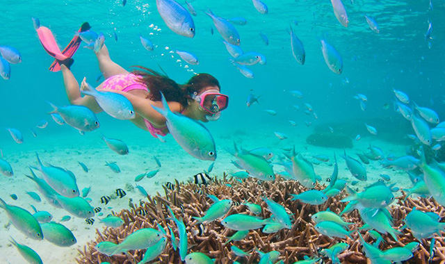 괌 피쉬아이 마린파크 스노클링 & 돌핀크루즈 투어 (런치 뷔페 포함)