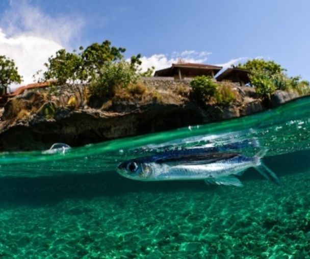 activity_detail_image