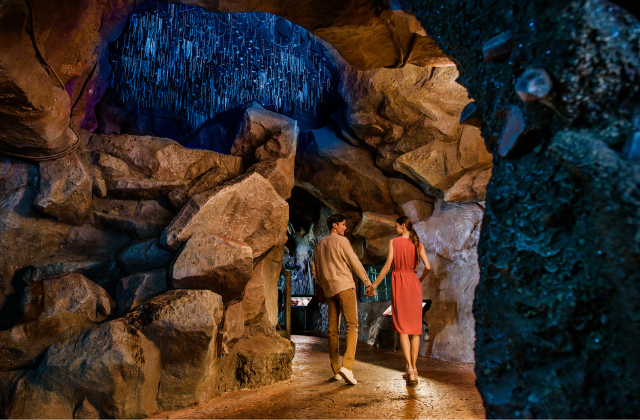 싱가포르 나이트 사파리 다이닝 할인 바우처