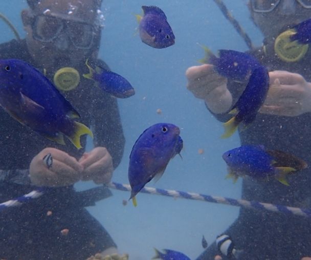 activity_detail_image