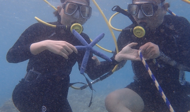 Guam Paradise Club Ocean Walk Experience