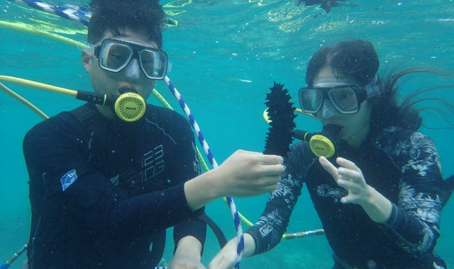 Guam Paradise Club Ocean Walk Experience