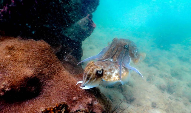 activity_detail_image