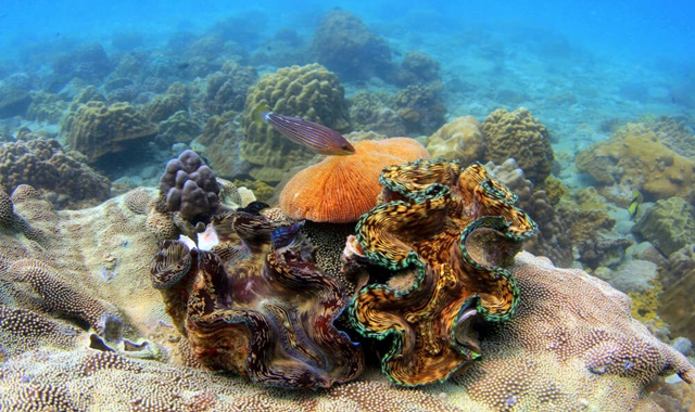 activity_detail_image