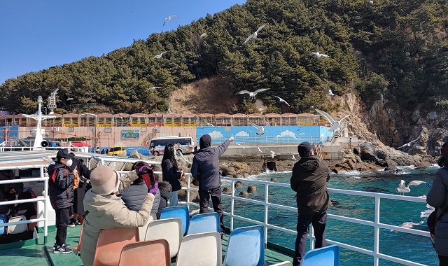 부산 절영마 영도 스토리 버스투어 (태종대 유람선, 음료 포함)