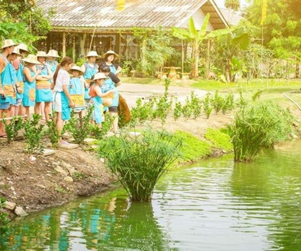 activity_detail_image