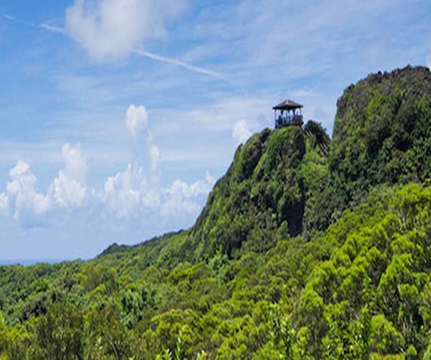 activity_detail_image