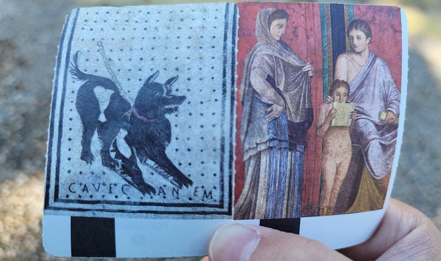 폼페이 비디오 마이퍼스트가이드 (비디오 가이드 투어)