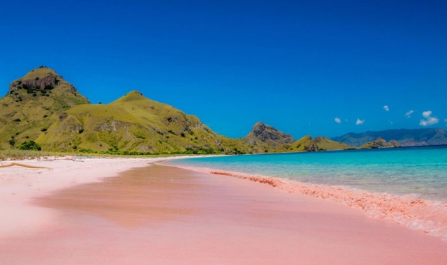 Lombok: Private Pink Beach Tour, Experience the Magic of Romantic Pink