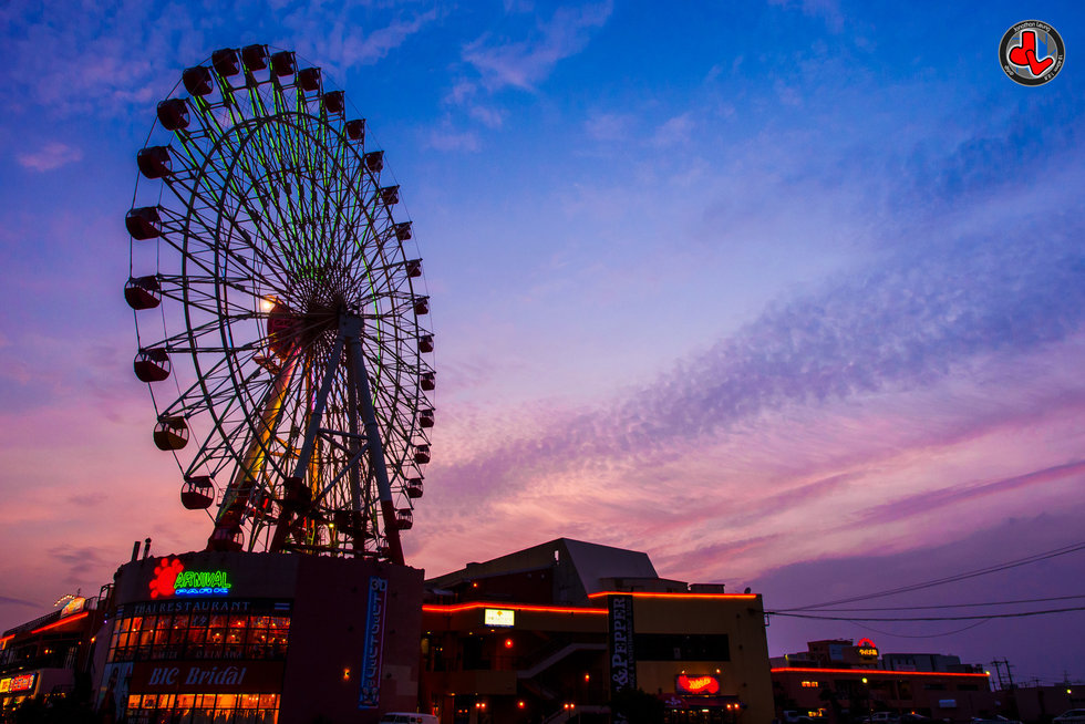 [한국인 가이드] 오키나와 북부 버스투어 (츄라우미 티켓 포함, 만좌모)