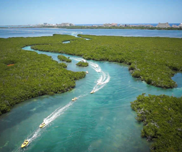 activity_detail_image