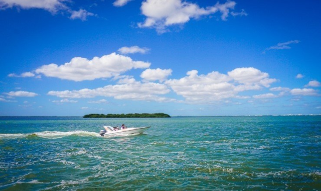 칸쿤 호텔존 정글투어 (한국인 가이드 체크인)