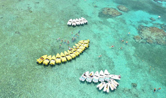 칸쿤 호텔존 정글투어 (한국인 가이드 체크인)