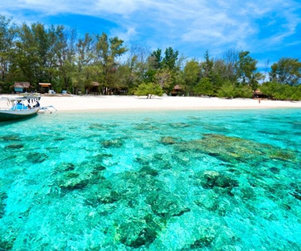 activity_detail_image