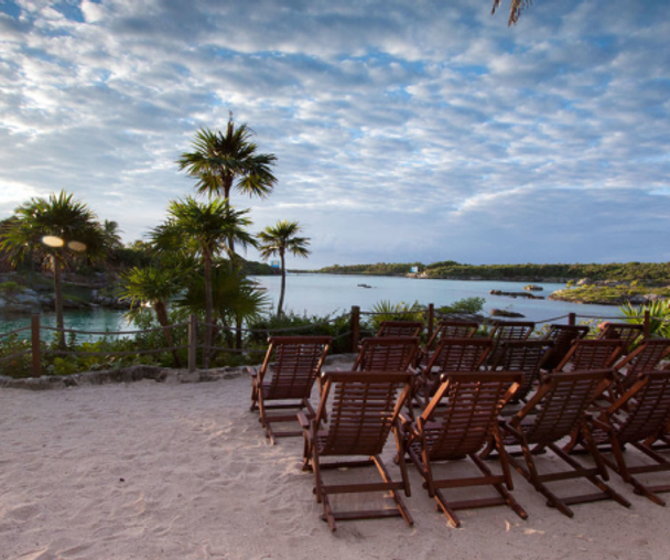 activity_detail_image