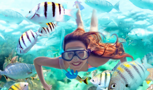 칸쿤 툴룸 & 셀하 일일 투어