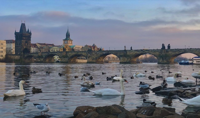 프라하 시내 프라이빗 투어 - 내 마음대로 다녀요