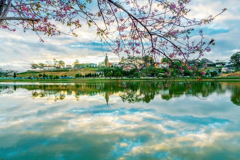 달랏 굿모닝 투어 (공항 픽업 / 랑비앙산 / 플라워가든 / 빅씨마트 / 호텔드랍)