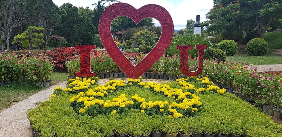 달랏 굿모닝 투어 (공항 픽업 / 랑비앙산 / 플라워가든 / 빅씨마트 / 호텔드랍)