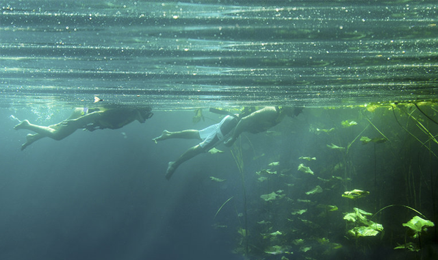 칸쿤 세노테 오아시스 마야 입장권 (왕복 교통 포함)