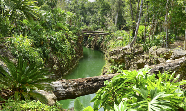 칸쿤 세노테 오아시스 마야 입장권 (왕복 교통 포함)
