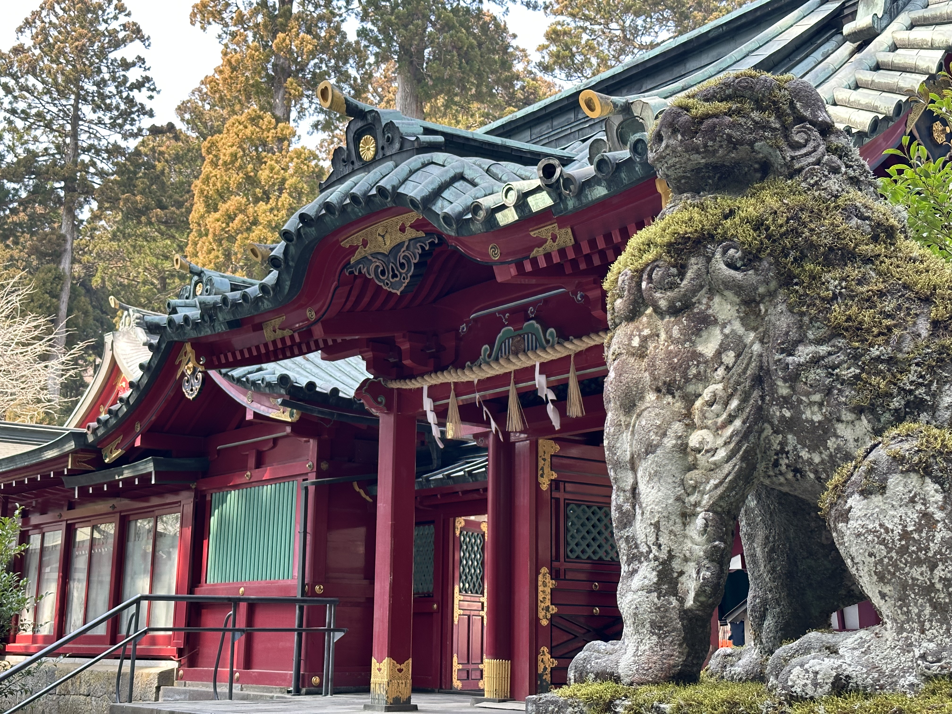 도쿄 하코네 가마쿠라 버스투어 (에노덴 기차표 특전)