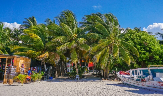 칸쿤 여인의섬 반일 투어 (한국인 가이드)