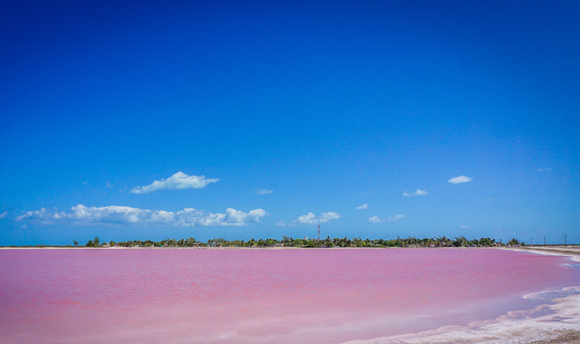 알렉스 가이드의 칸쿤 치첸이트사 & 익킬세노떼 그리고 핑크라군 투어