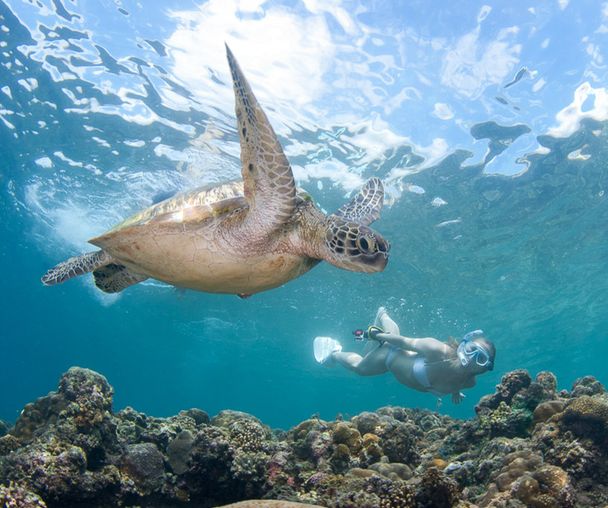 activity_detail_image