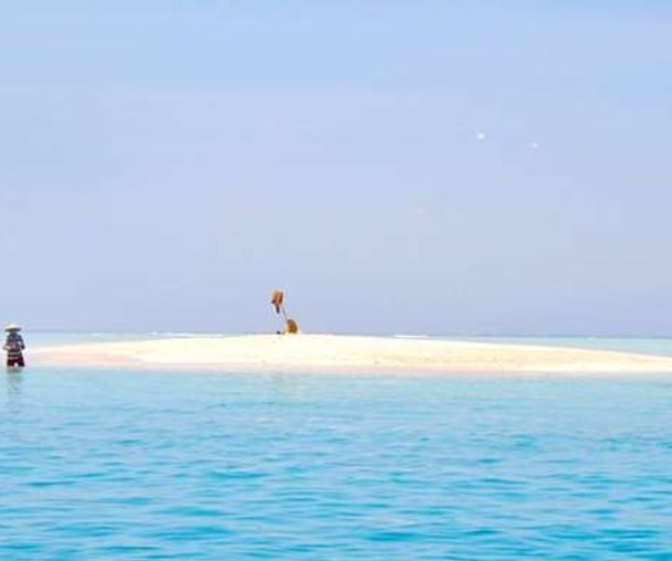 activity_detail_image