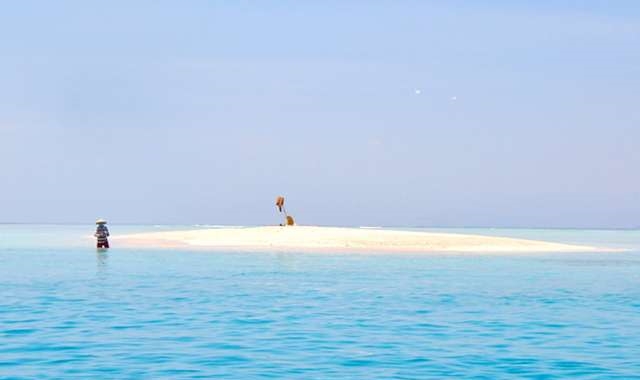 롬복 핑크비치 스노클링 투어