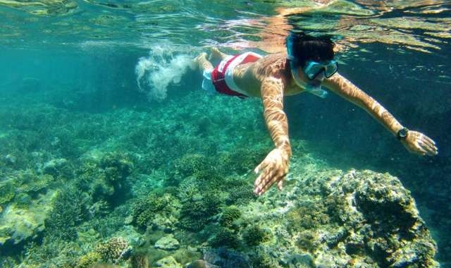 롬복 핑크비치 스노클링 투어