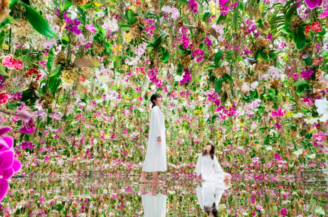 東京スカイツリー展望台 ＋ teamLab Planets TOKYO 電子チケット