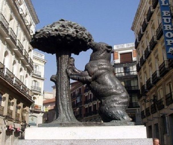 activity_detail_image