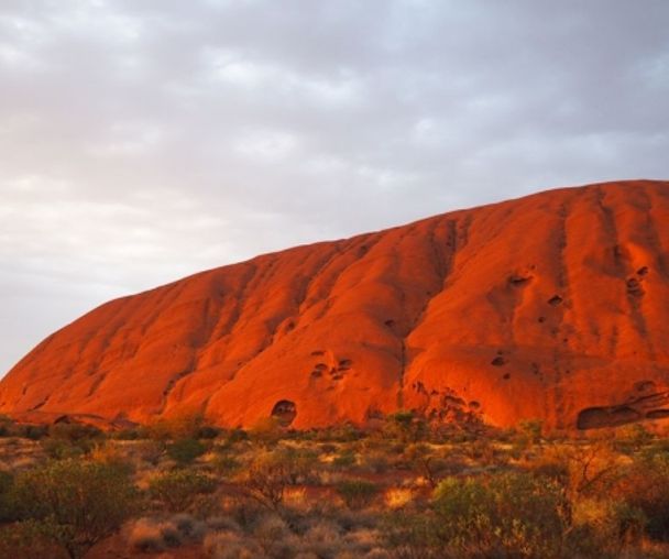 activity_detail_image