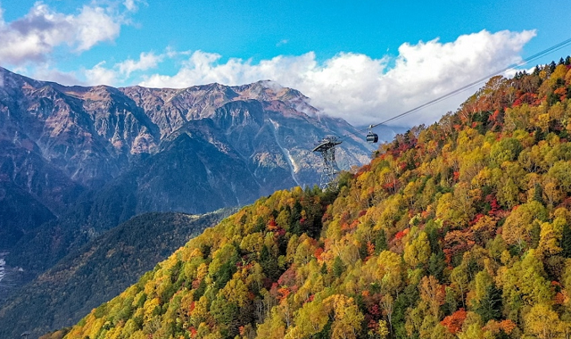 岐阜県 高山＆新穂高 無制限バス乗車券 2日間