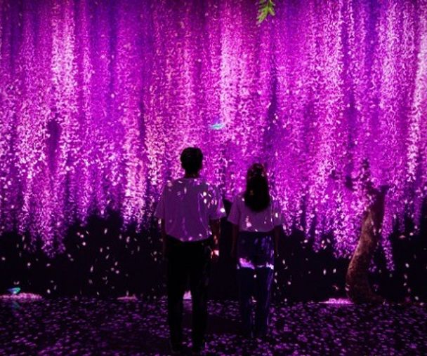 activity_detail_image